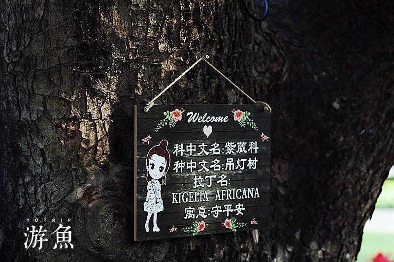 合金装备：幸存